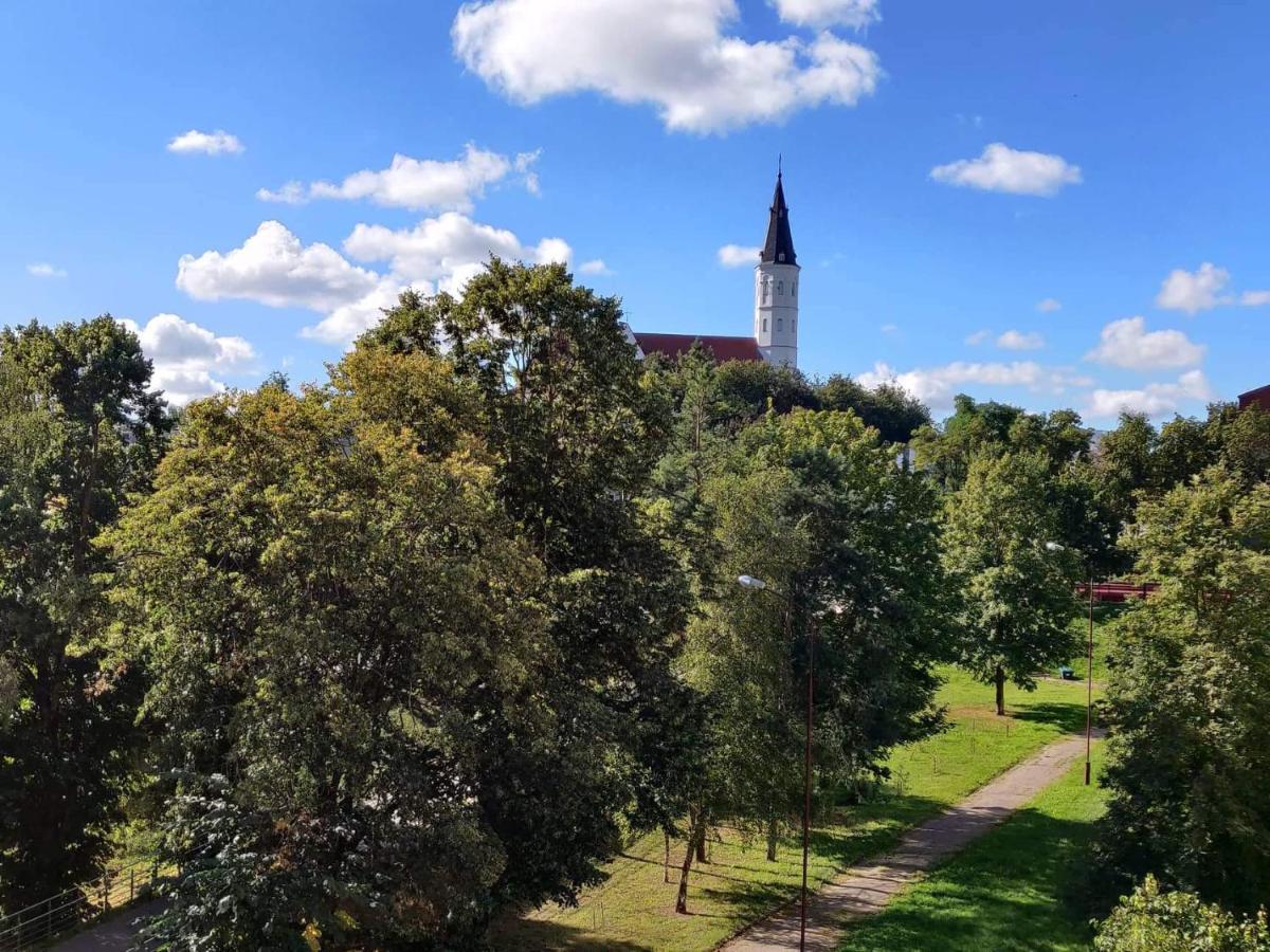Centrinio Parko Apartamentai Siauliai  Bagian luar foto