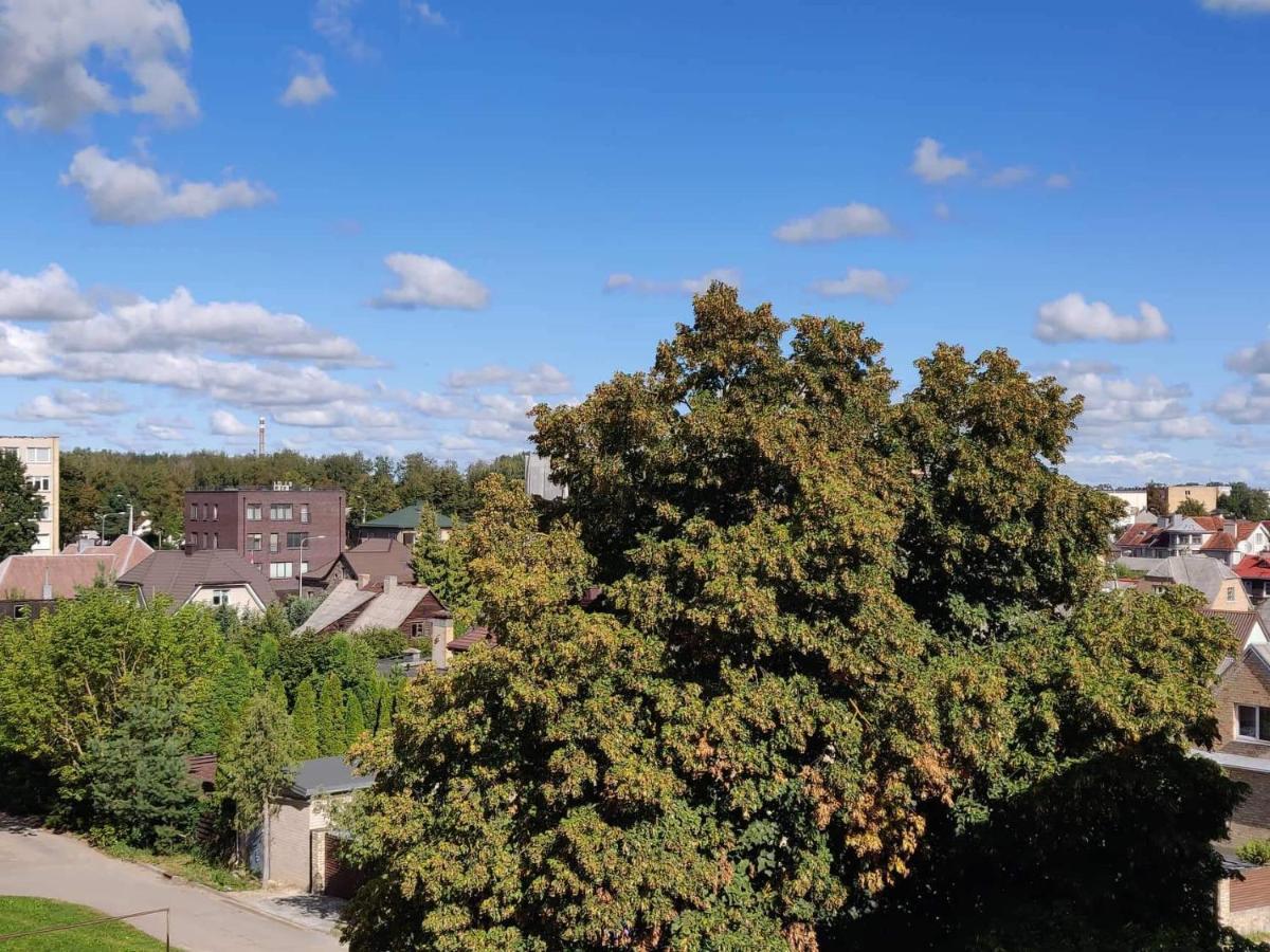 Centrinio Parko Apartamentai Siauliai  Bagian luar foto
