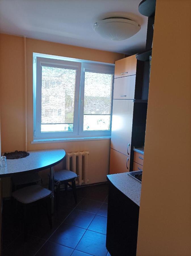 Centrinio Parko Apartamentai Siauliai  Bagian luar foto