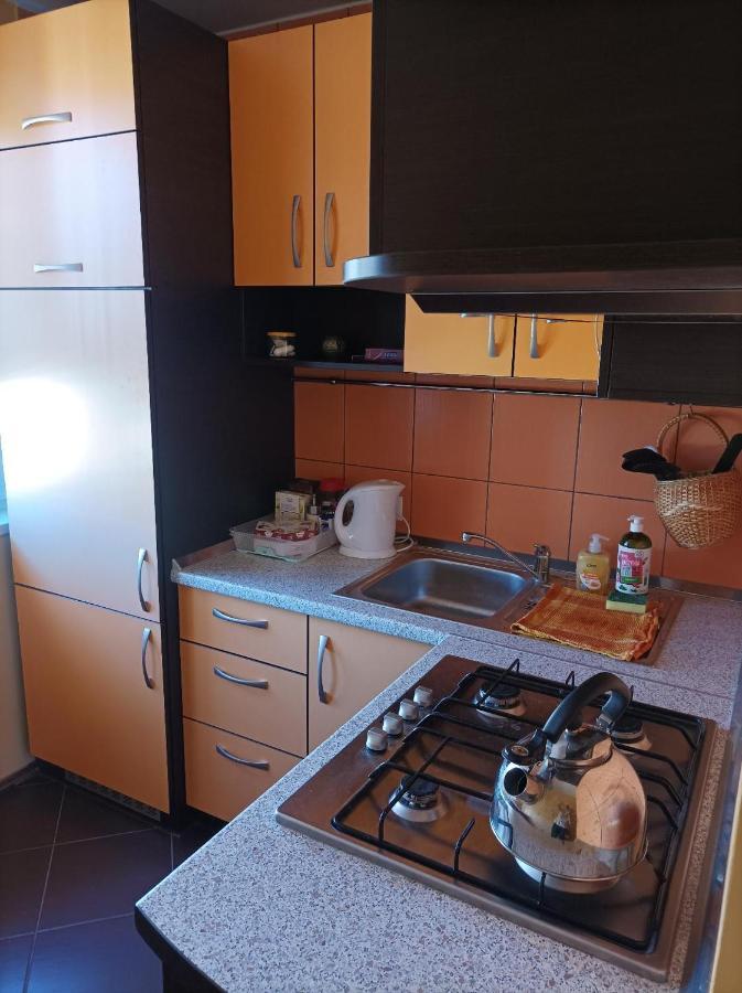 Centrinio Parko Apartamentai Siauliai  Bagian luar foto